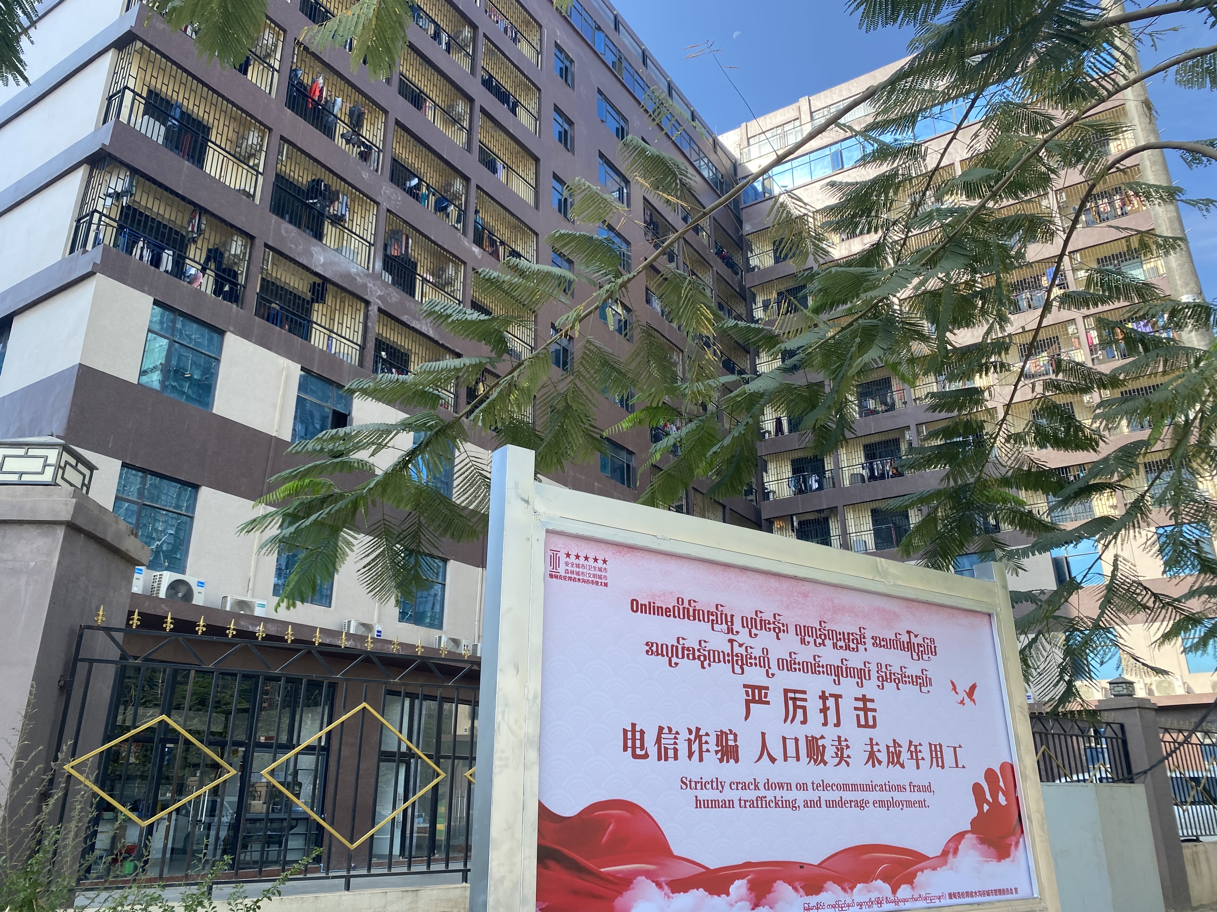 缅甸妙瓦底电诈集团出逃记（下）：等待回家的“猪仔” – Wainao