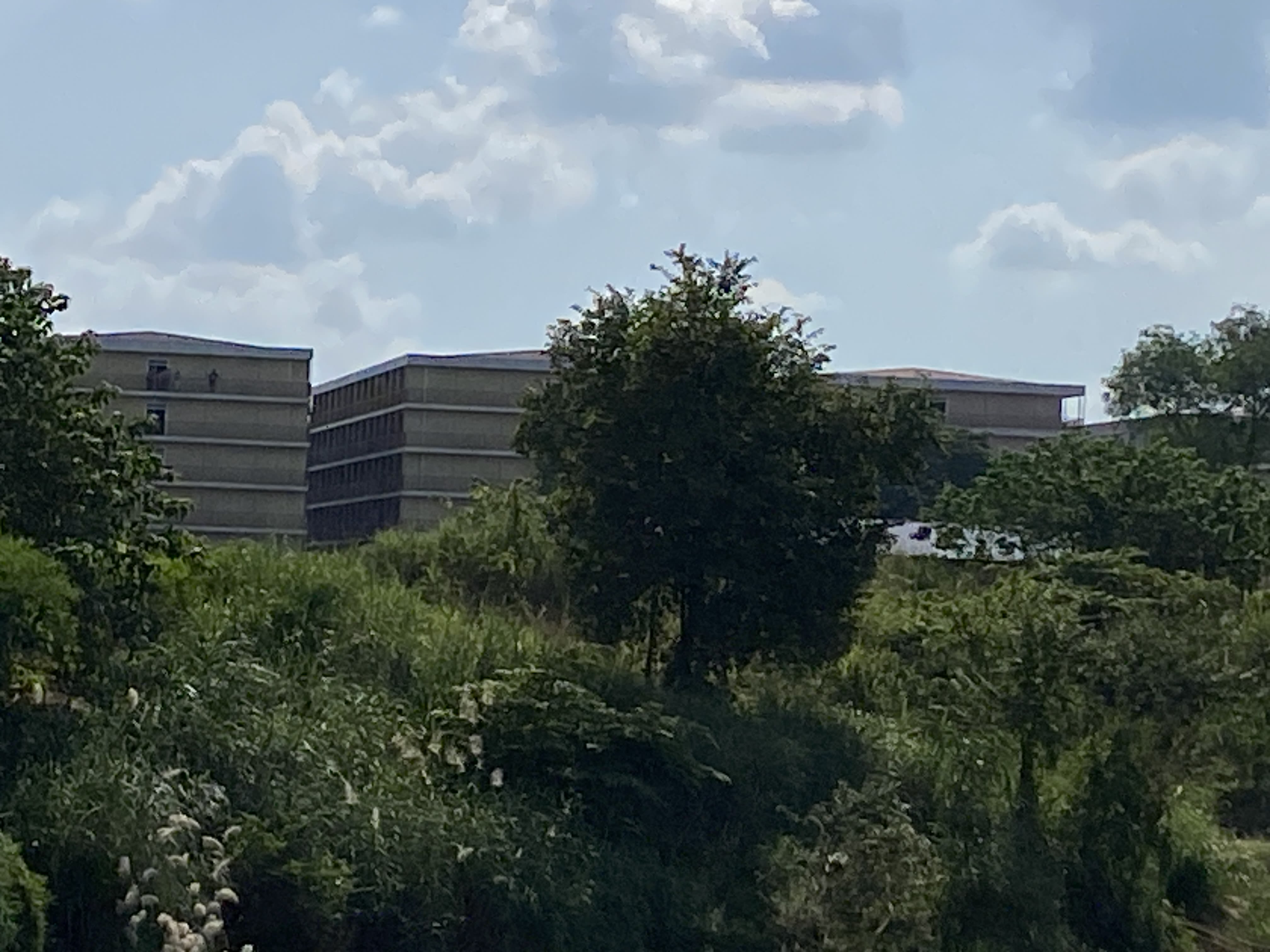 逃跑画面，福建老板站楼顶