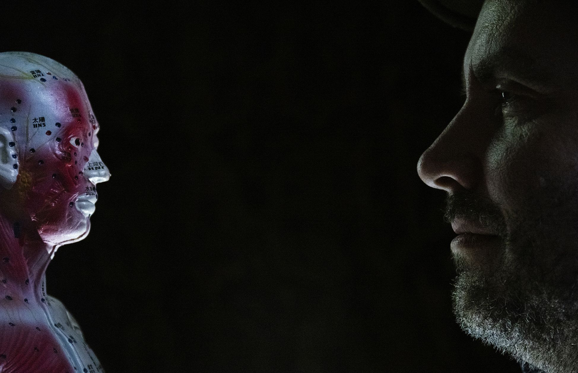 Sage和中医穴位人偶。（歪脑/Shell Long)