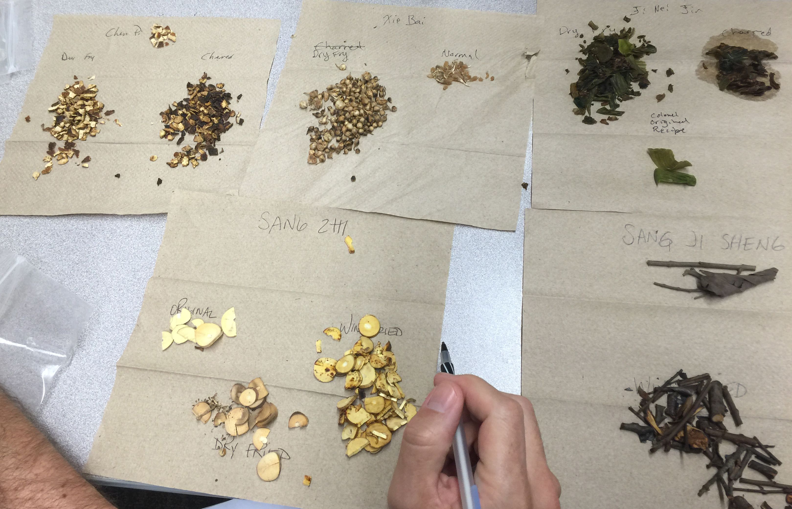 Sage在俄勒冈东方医学院的中草药炮制课程中。（Sage提供）