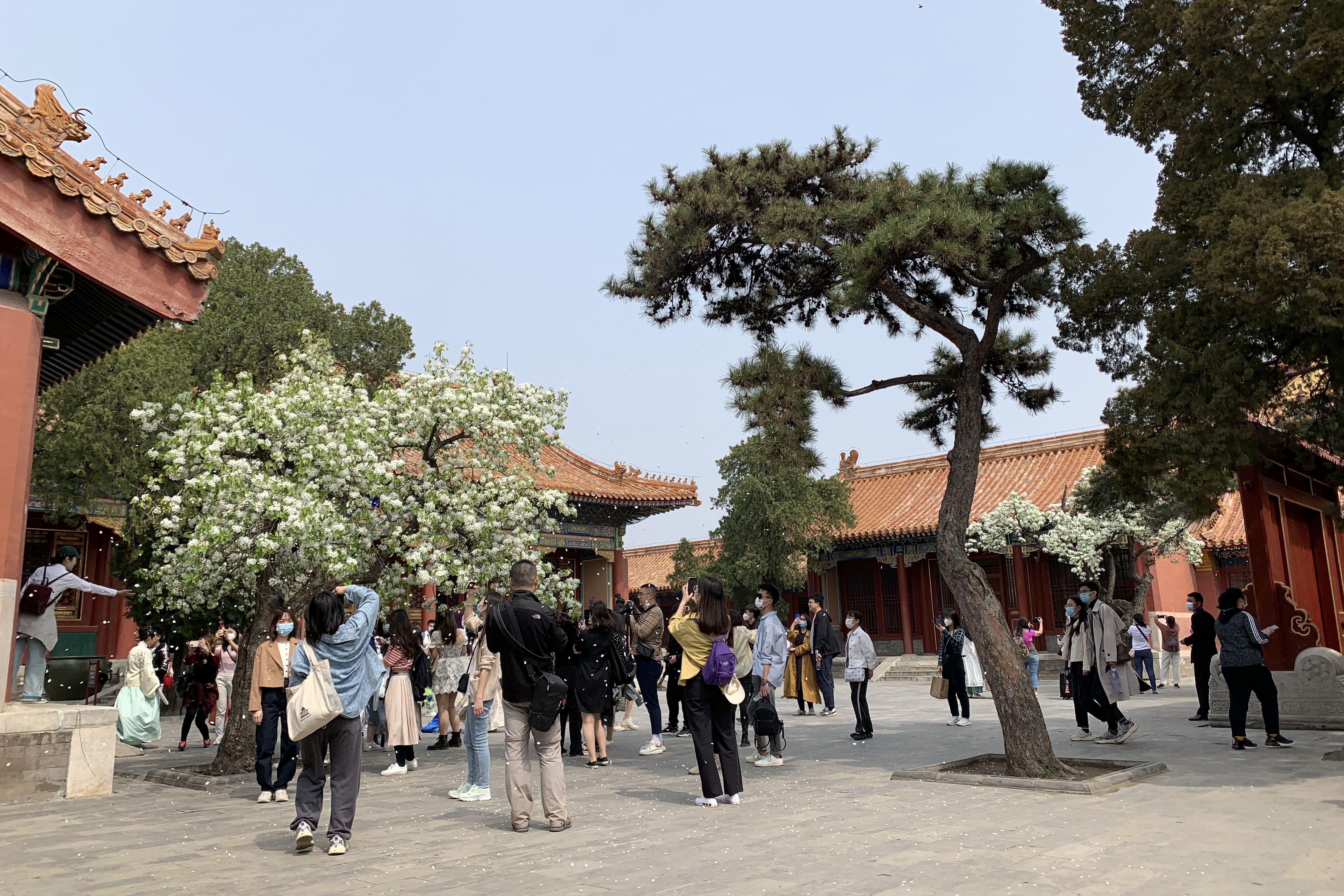“世界被关在门外时至今日，高墙内的歌者是花的香魂。”  春秋乐队 《凶宅》