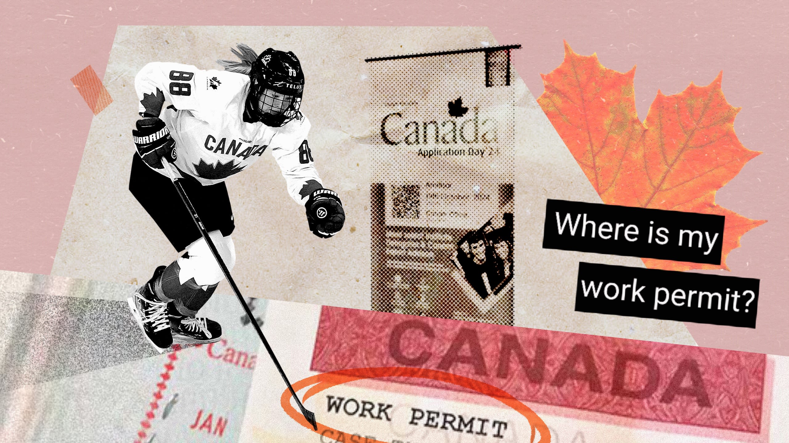 加拿大移民政策大转弯：“工作、留下”的宣传语与“留子”们刚毕业就遭遇的坚硬现实– Wainao