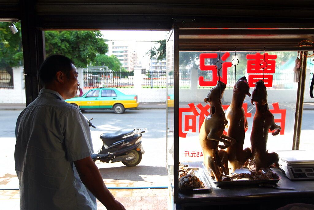 2014年6月15日，广东省湛江市，一家销售“白切狗肉”的餐馆。 (AP / Humane Society International)