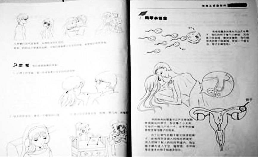 Materials from "The Footsteps of Growth"