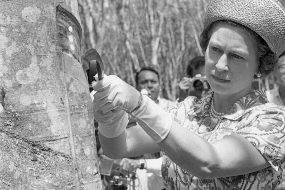 1972年2月25日,马来西亚吉隆坡，英国女王伊丽莎白二世参观了双溪布洛橡胶园，并体验“割胶”。同新加坡一样，这是伊丽莎白二世女王对马来西亚的第一次访问。(AP / Max Nash)