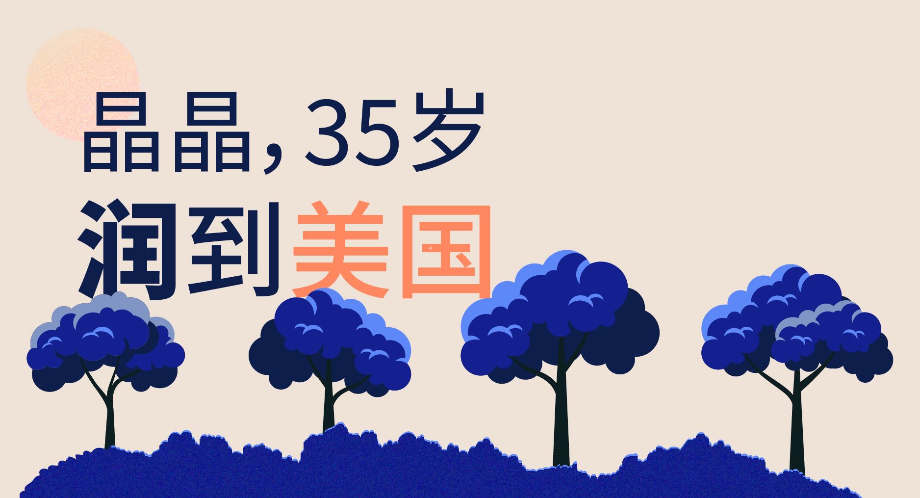 晶晶 - 35岁，润到美国